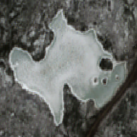 Mullock Lake - Apr 21, 2026