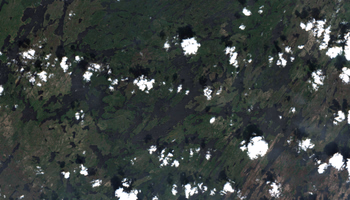 Black Bear Island Lake - Jul 24, 2026