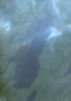 Holtby Lake - Jul 24, 2026