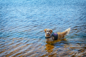 some of the best beaches for swimming the north has to offer