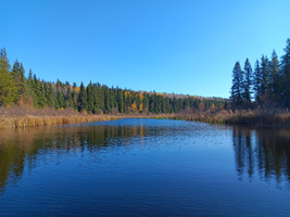 View of the lake.