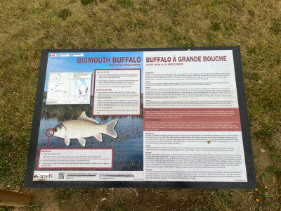 Bigmouth Buffalo info sign.