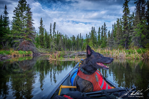 looking up the stream that connects Hunter Bay with Nunn lake