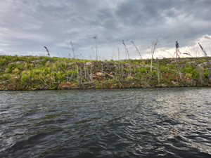French Lake along the Stewart River route