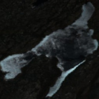 Aadland Lake - May 20, 2026