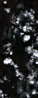 Pelican Lake - May 21, 2026