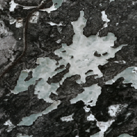 Little Deer Lake - Apr 21, 2026