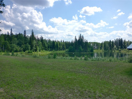 View of the pond from the parking lot.