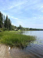 Shoreline near the launch.