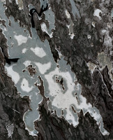 Shagwenaw Lake - May 09, 2026