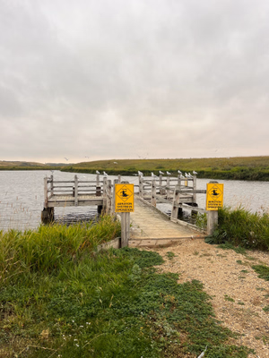 Wooden fishing dock.