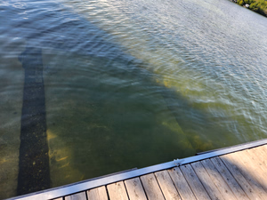 Boat Launch