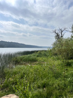 Lake shoreline.