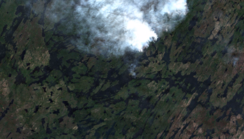 Black Bear Island Lake - Jul 24, 2026