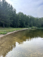 Shoreline near the boat launch. Looks like lots of people have been pulling up boats here.