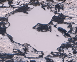 Shell Lake - Dec 12, 2025