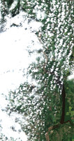 Lake Of The Prairies - Jul 24, 2026
