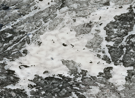 Macoun Lake - May 09, 2026