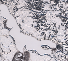 Murray Lake - Jan 24, 2026