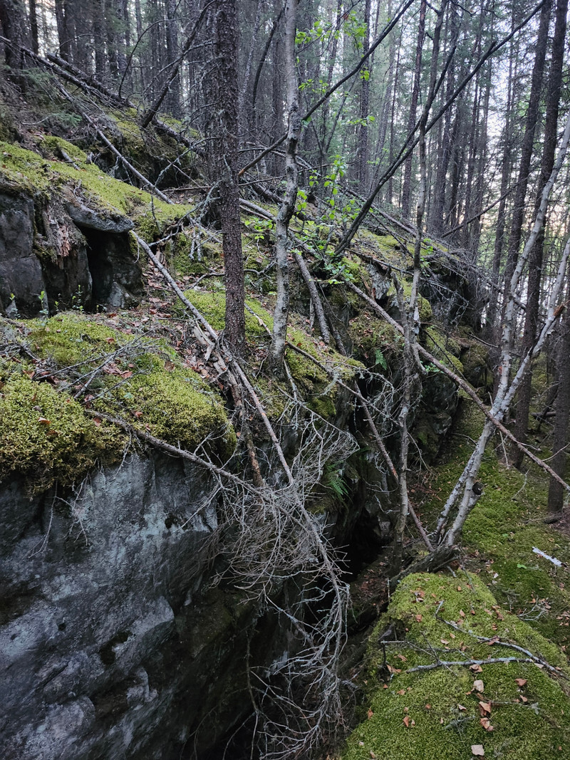 Near a Minuhik lake campsite