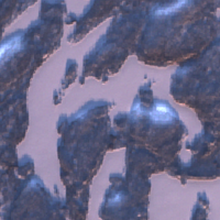 Ciocia Lake - Dec 23, 2025