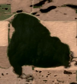 Murphy Lake - May 24 - May 31