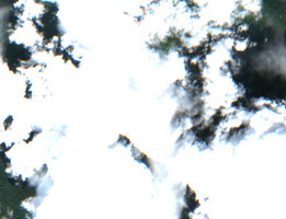 Larson Lake - Jul 24, 2026