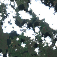 Little Bear Lake