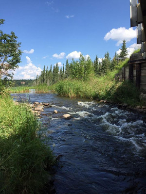Upper Fishing Lake creek in Narrow Hills Provincial Park 