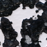 Clement Lake - Feb 02, 2026