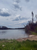 Shannon Lake