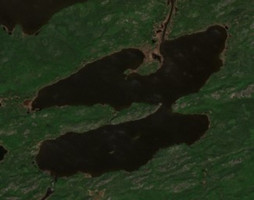 Shannon Lake