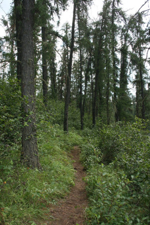 Gem lakes 