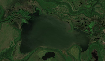 Cut Beaver Lake - Jul 24, 2026