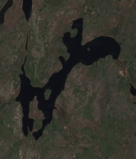 Bassett Lake - May 22 - May 29