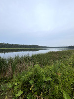 View of the lake.