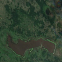 Rice Lake