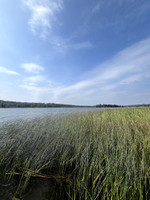 View of the lake.