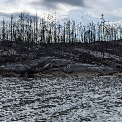 a lot of recent burn is all over the lake