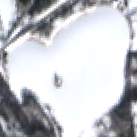 Nesland Lake - Feb 20, 2026