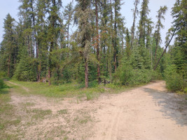 Intersection on the road out to Steepbank. The lake is down the left hand path. 