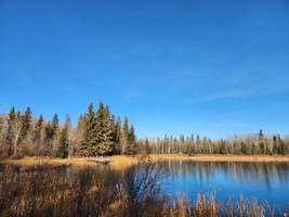 Musker Pond at Candle Lake Provincial Park 