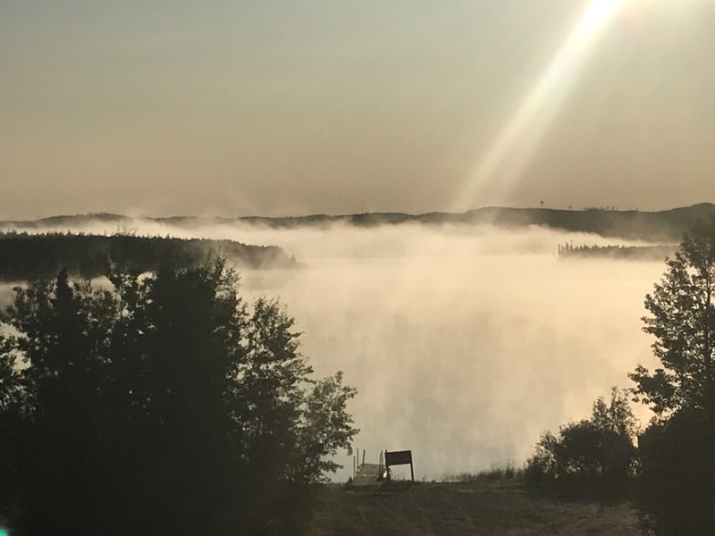 Sealey on a misty morning Sealey on a misty morning