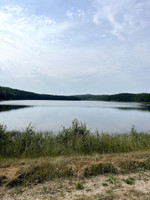 View of the lake from the road.