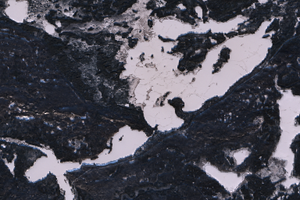 Anglin Lake - Dec 12, 2025