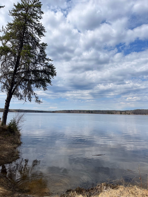 Jacobson Bay at Anglin Lake. 