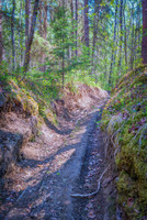 Part of the Methye Portage that passes the lake. National Historic site