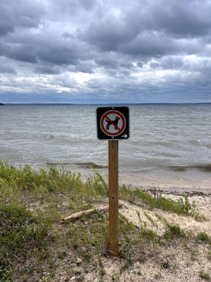 Sign indicating where dogs aren&amp;#039;t allowed.
