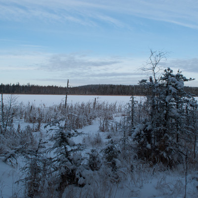 Exploring the North end of the lake with snowshoes