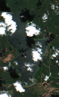 Greig Lake